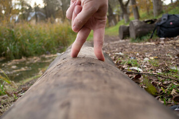 fingers on a log