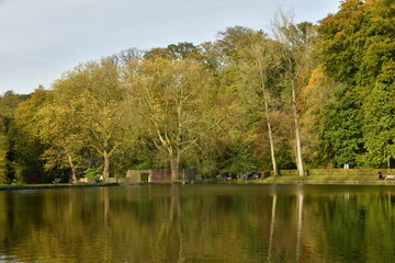 Feuillage doré des arbres bordant l'étang du Moulin dans un cadre idyllique en automne sur le site de l'abbaye du Rouge-Cloître à Auderghem 