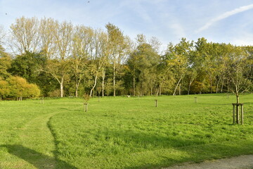 Pelouse longeant un bois près du site de l'abbaye du Rouge-Cloître à Auderghem 