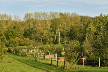 Le potager collectif de l'abbaye du Rouge-Cloître à la lisière de la forêt de Soignes en automne à Auderghem