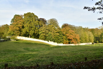 Mur d'enceinte séparant une prairie et un bois près de l'abbaye du Rouge-Cloître à Auderghem
