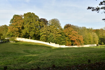 Mur d'enceinte séparant une prairie et un bois près de l'abbaye du Rouge-Cloître à Auderghem
