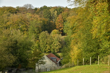Partie des &eacute;curies de l'abbaye du Rouge-Clo&icirc;tre en contrebas en pleine v&eacute;g&eacute;tation luxuriante en automne de la for&ecirc;t de Soignes &agrave; Auderghem 