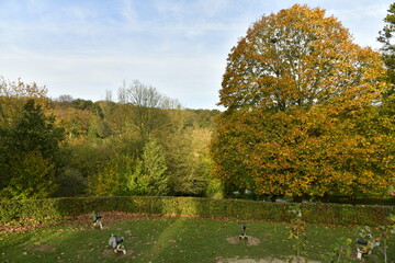 Fototapeta premium Pleine de jeux vide en plein milieu de la végétation luxuriante en automne de la forêt de Soignes au site de l'abbaye du Rouge-Cloître à Auderghem