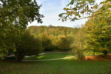 La forêt de Soignes en automne en fin de journée sur le site de l'abbaye du Rouge-Cloître à Auderghem 