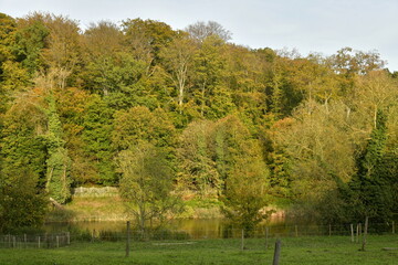 La forêt de Soignes en automne en fin de journée sur le site de l'abbaye du Rouge-Cloître à Auderghem 
