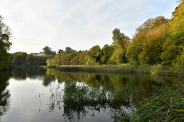 Le grand étang de Lange Gracht un soir d'automne en pleine forêt de Soignes à Auderghem