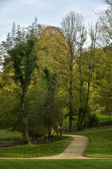 L'arbre à la cime dorée au dessus d'un chemin au parc Tournay Solvay à Watermael-Boitsfort 