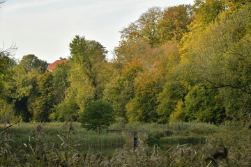La forêt de Soignes en automne en fin de journée sur le site de l'abbaye du Rouge-Cloître à Auderghem 