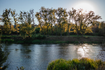 View of the river bank in the rays of the setting sun.