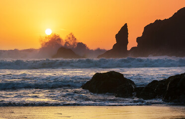 Olympic coast