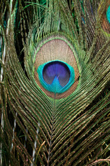 Obraz premium China. Daily life.