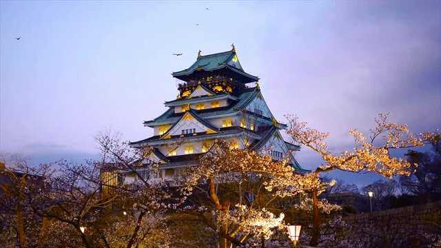 Osaka Castle and full cherry blossom at twilight.