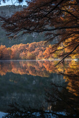 Obraz premium Landscapes of Texas Hill Country in the fall, autumn, season changing, outdoors, river, camping