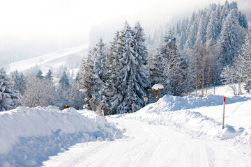 French Alps.