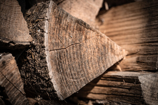 Holz mit details vom Holz