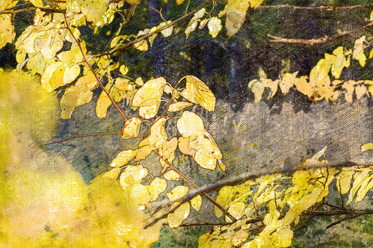 Yellow aspen leaves in an autumn forest. Leafy season.