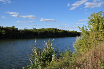 View of the river and banks with trees. Panorama of the river. Sunny day in nature.