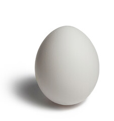 White egg on white background