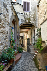 Obraz na płótnie Canvas An alley of Villa Santo Stefano, a medieval town of Lazio region, Italy.