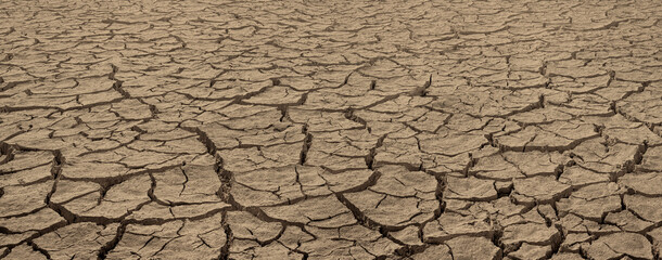 Cracked dried brown soil. Barren land texture, wide panorama with deep focus - obrazy, fototapety, plakaty