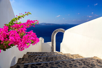 Beautiful arch to the luxury hotel with bougainvillea flower in Oia, Santorini, Greece. Iconic...