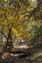 Landscapes of Texas Hill Country in the fall, autumn, season changing, outdoors, river, camping