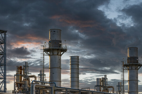 Piperline Bilder Durchsuchen 302 Archivfotos, und