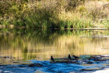 Landscapes of Texas Hill Country in the fall, autumn, season changing, outdoors, river, camping