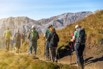 Group of hikers of different ages and gender with trekking poles and backpack hiking on a trail through green meadows in the Italian Alps. Sassopiatto - Col Rodella. South Tyrol, Italy - obrazy, fototapety, plakaty