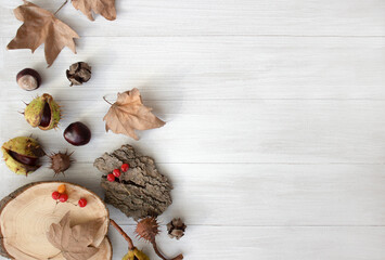 Autumn composition. Autumn layout on a light wooden background. Chestnuts, yellow dry leaves.