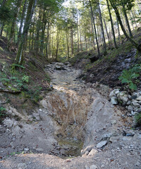 MTB-Tour/Wanderung bei Kufstein: Trockenes Bachbett im Wald