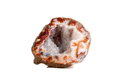 Macro mineral stone agate kidney gerbera on white background close up