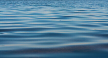 Naklejka premium sea surface at sunset