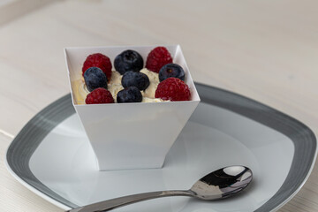 bowl of blueberries and yogurt