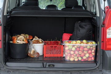A trunk full of mushrooms and apples in the car.