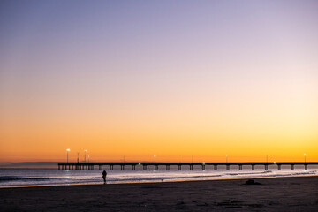 Fototapeta premium Autumn in Texas Gulf Coast, vacation, nature, birding, beach, sun