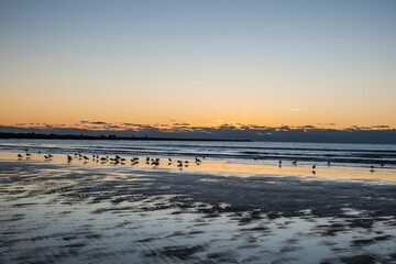 Autumn in Texas Gulf Coast, vacation, nature, birding, beach, sun