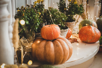 on the porch there are orange pumpkins, flowers. halloween holiday. the threshold, harvest, vegetables