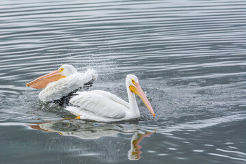 Autumn on Texas Gulf Coast, beach, sand, sea, nature, summer