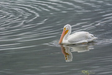 Autumn on Texas Gulf Coast, beach, sand, sea, nature, summer