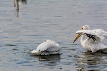 Autumn on Texas Gulf Coast, beach, sand, sea, nature, summer