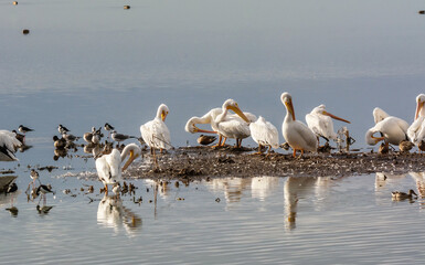 Autumn on Texas Gulf Coast, beach, sand, sea, nature, summer