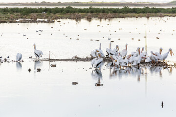 Autumn on Texas Gulf Coast, beach, sand, sea, nature, summer