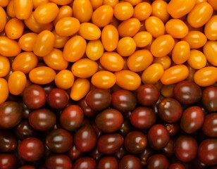 Long Plum Tomato Group Isolated, Fresh Small Cherry Tomatoes