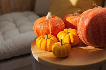 Orange and yellow pumpkins and gourds