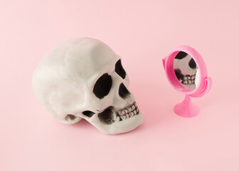 Human skull looking in a pink mirror.