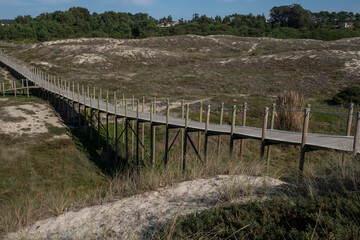 Wooden paths through coastal sand dunes, Portugal.