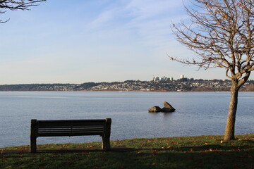 An empty bench by a tree over looking the bay to the Canadian town at a viewpoint in Marine Park, Washington State