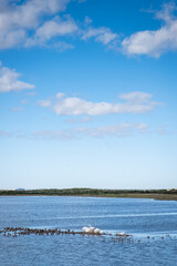 Autumn in Texas Gulf Coast - beach, sand, sea